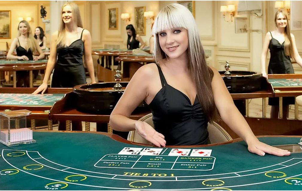 Tampilan meja dan dealer dalam suasana kasino live